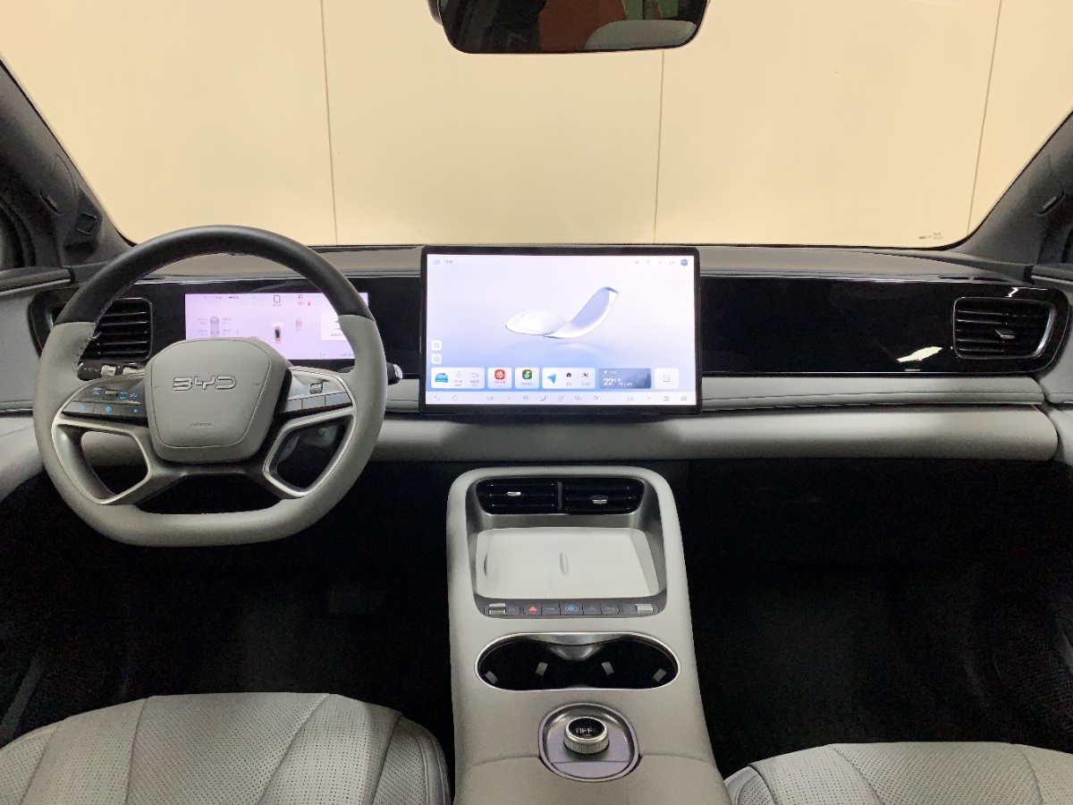 BYD Sea Lion 06 New Energy 2025 car image #10