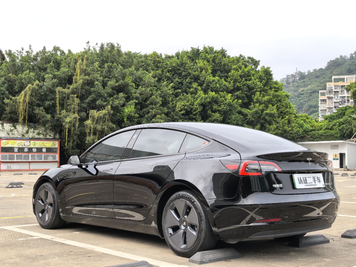 Tesla Model 3 2021 #10 Tesla Model 3 2021 car image #10