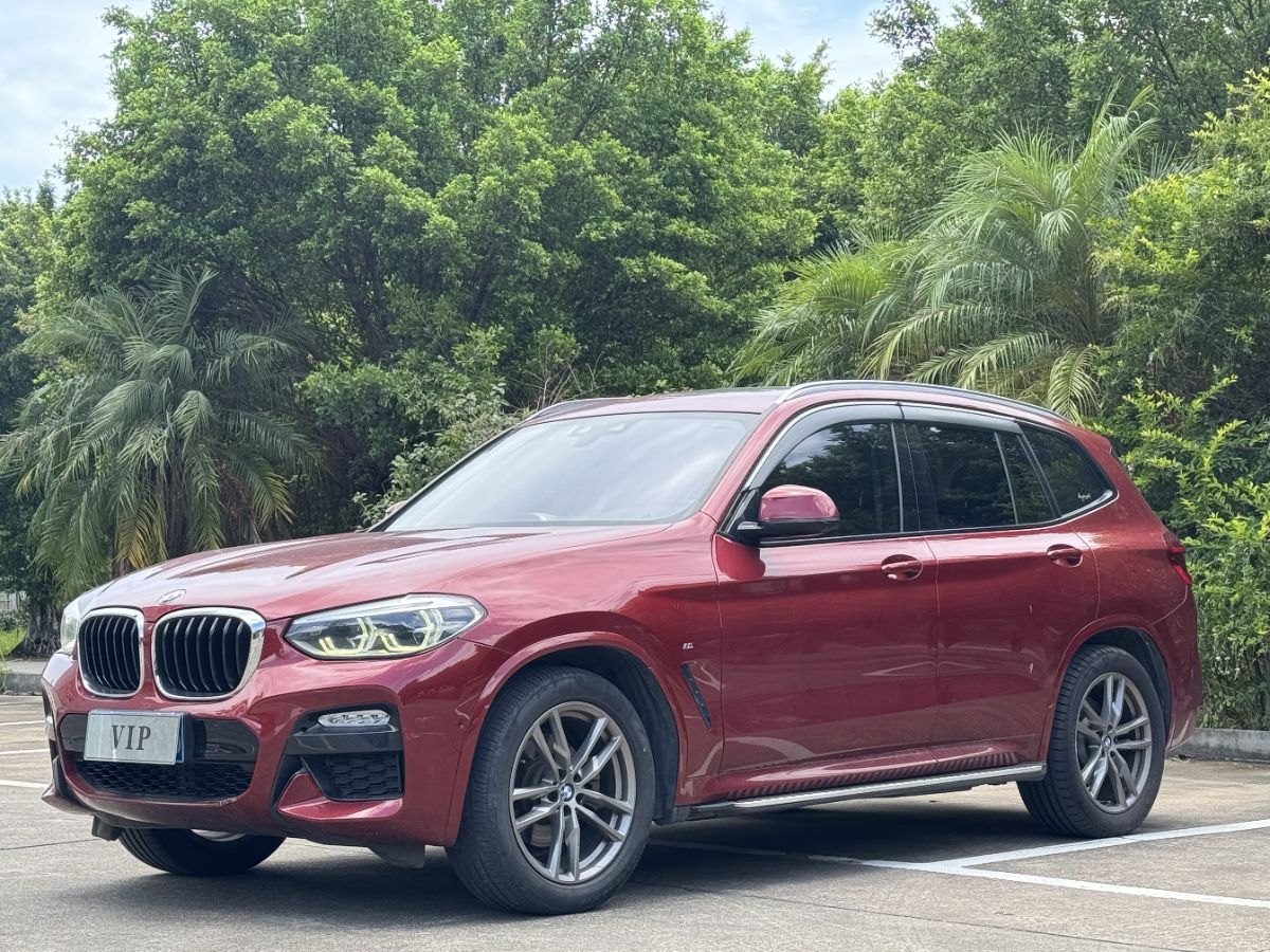 BMW X3 2019 BMW X3 2019 car image