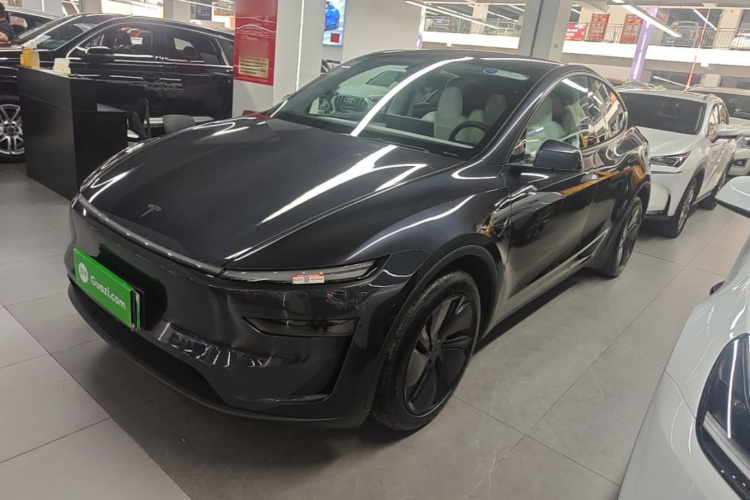 Tesla Model Y 2025 car image #2