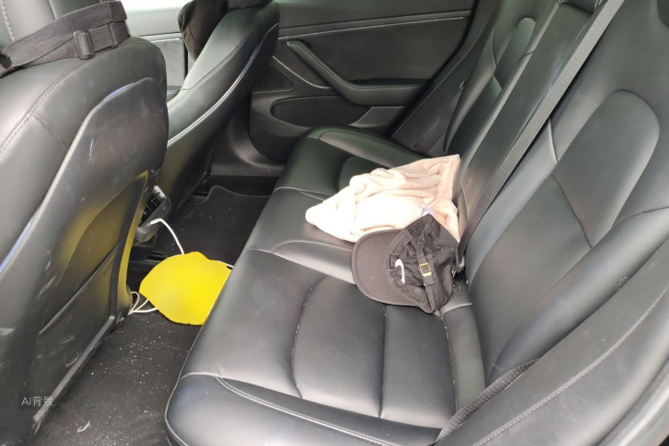 Tesla Model 3 2020 car image #19