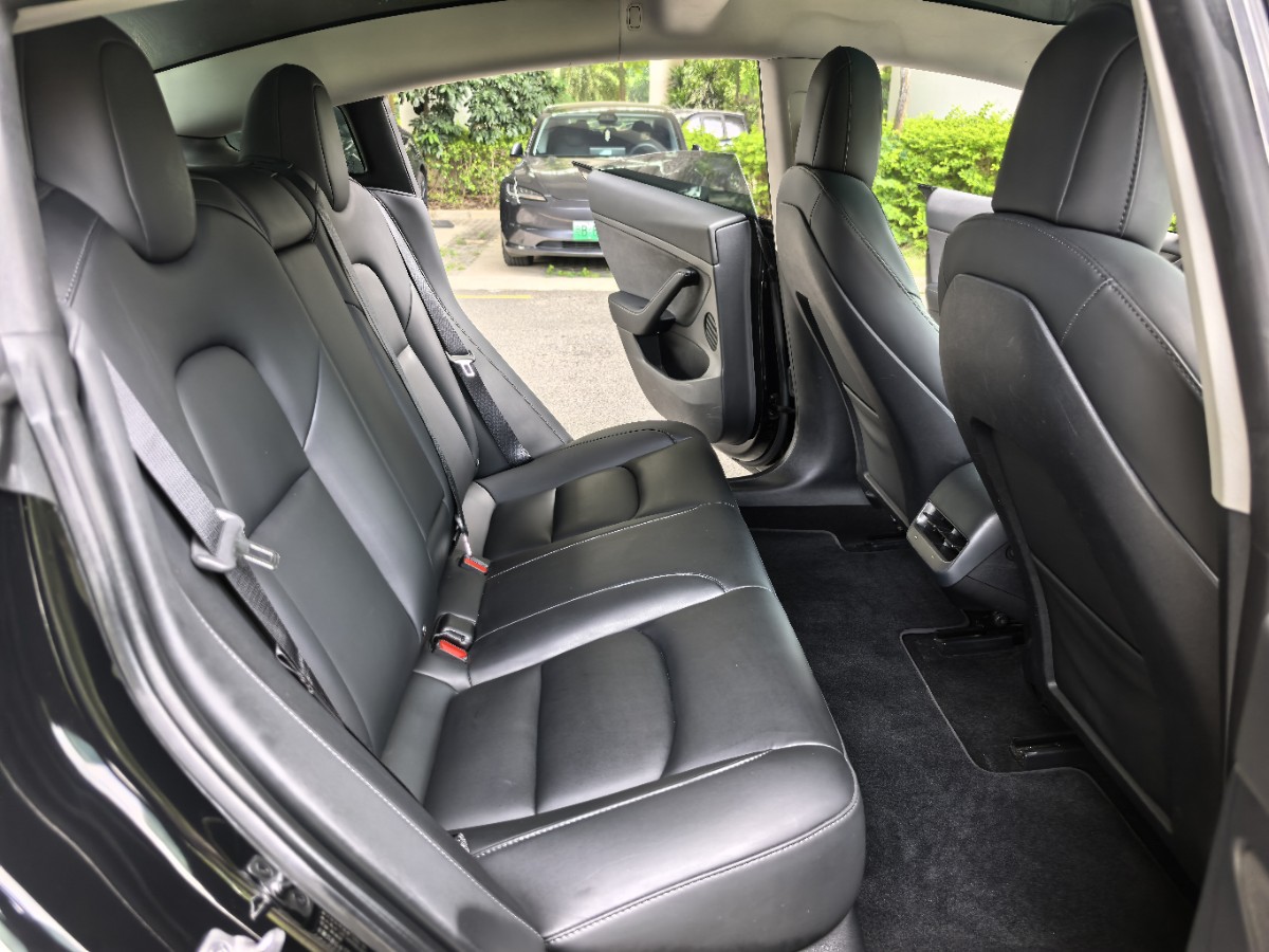 Tesla Model 3 2023 car image #9