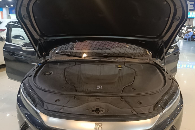 BYD Han 2021 car image #29