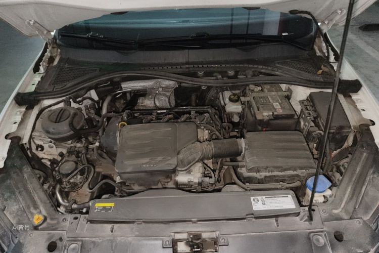2019 #22 2019 car image #22