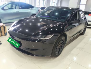 Tesla Model 3 2024 Tesla Model 3 2024 car image