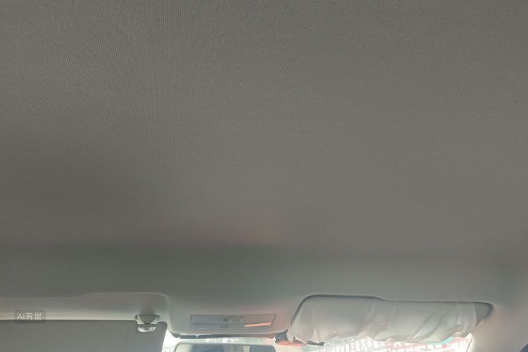 Volkswagen Santana 2019 car image #20