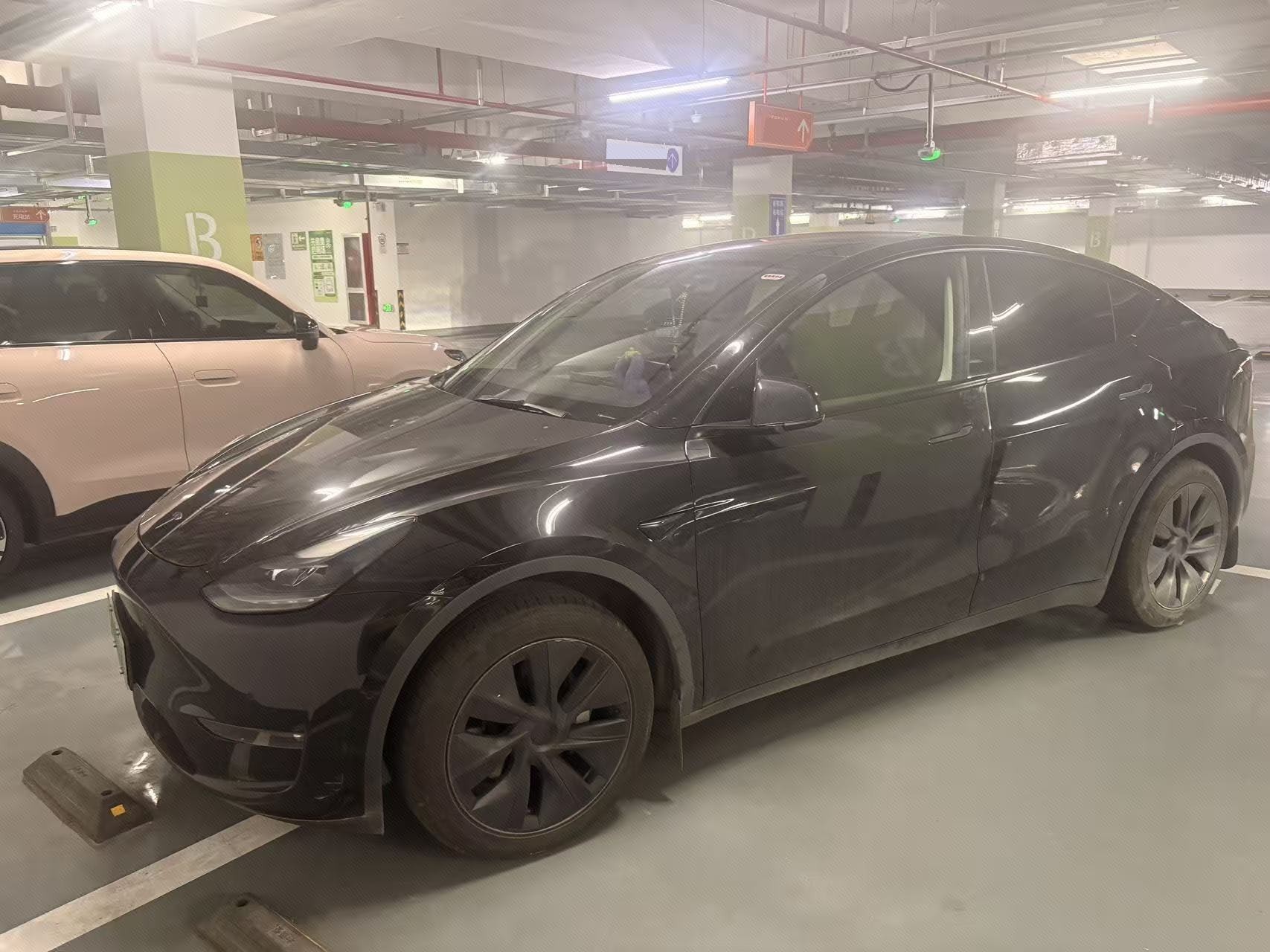 Tesla Model Y 2024 Tesla Model Y 2024 car image