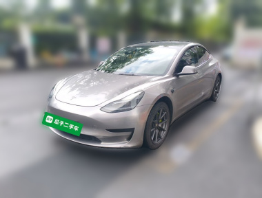 Tesla Model 3 2021 Tesla Model 3 2021 car image