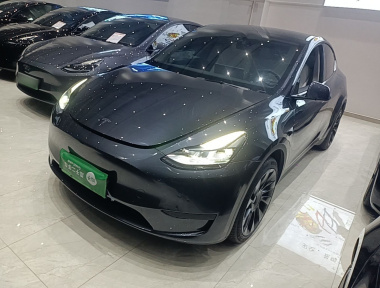 Tesla Model Y 2024 Tesla Model Y 2024 car image