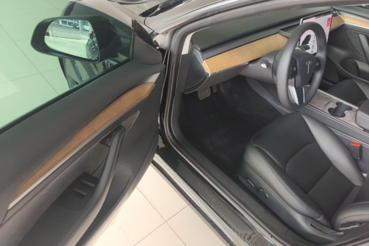 Tesla Model 3 2021 car image #16