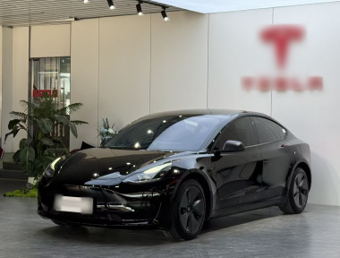 Tesla Model 3 2023 Tesla Model 3 2023 car image