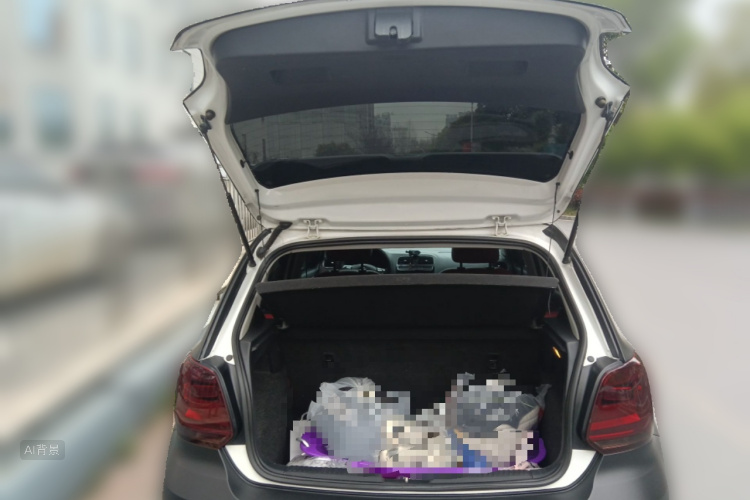 Volkswagen Polo 2018 car image #21