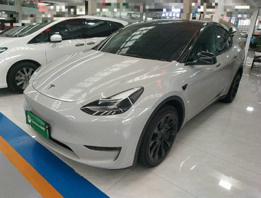 Tesla Model Y 2021 Tesla Model Y 2021 car image