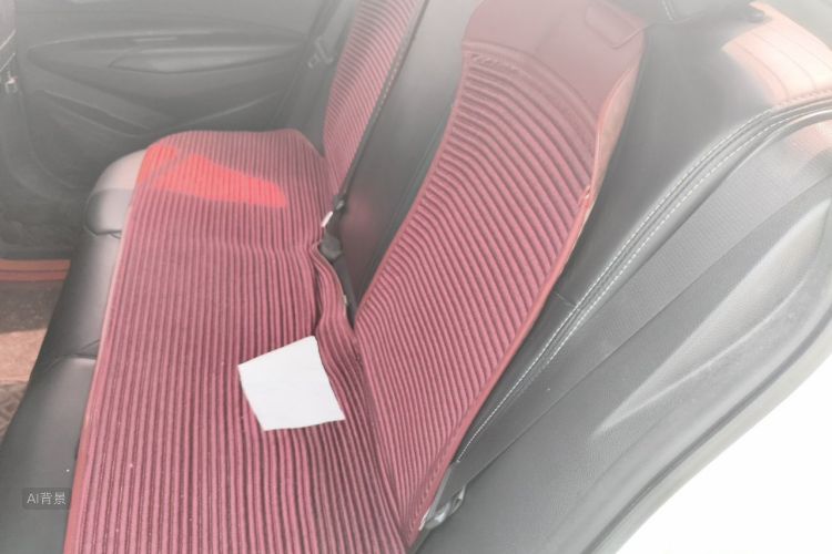 Toyota Corolla 2021 car image #19