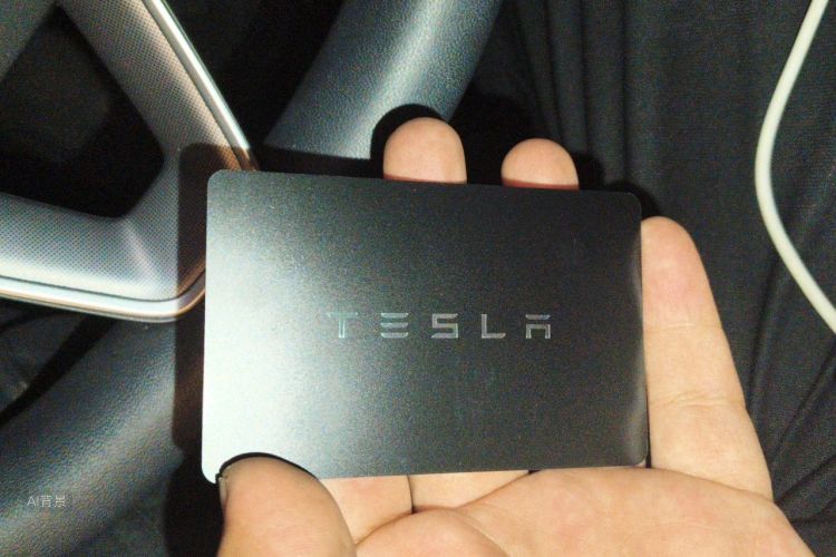 Tesla Model Y 2025 #10 Tesla Model Y 2025 car image #10