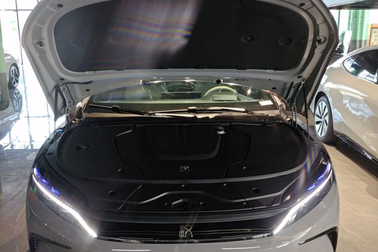 BYD Han 2024 car image #20