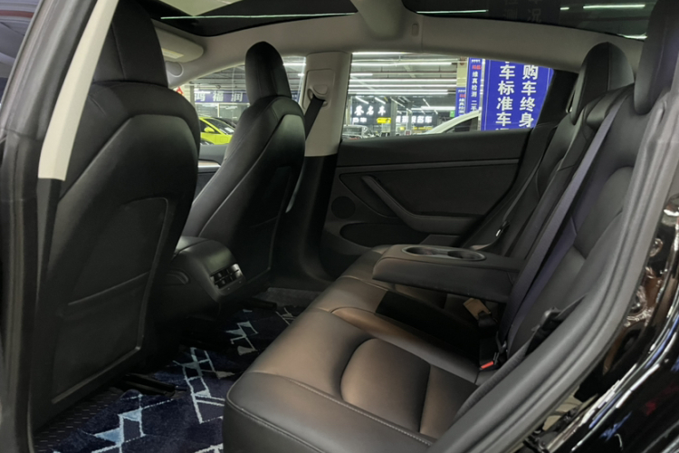Tesla Model 3 2021 car image #15