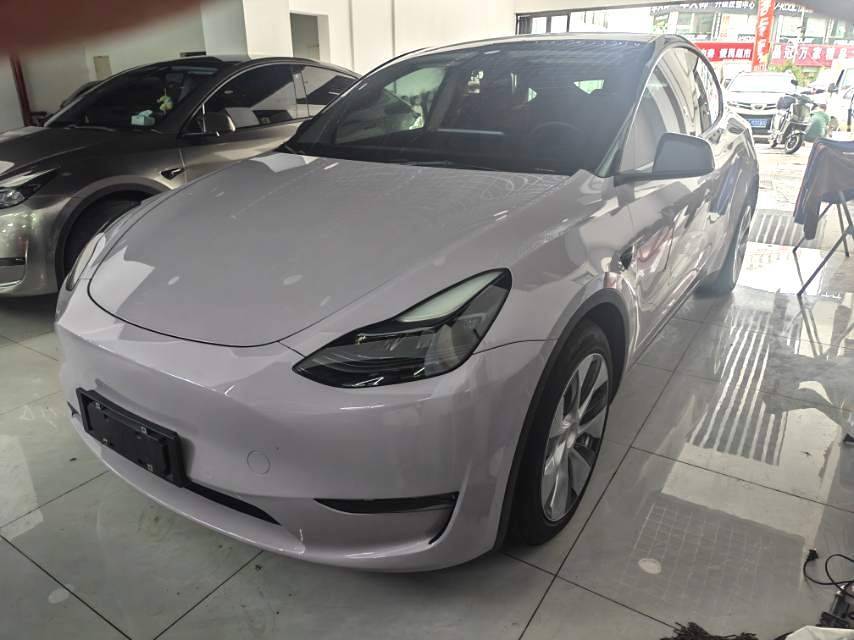 Tesla Model Y 2021 car image 