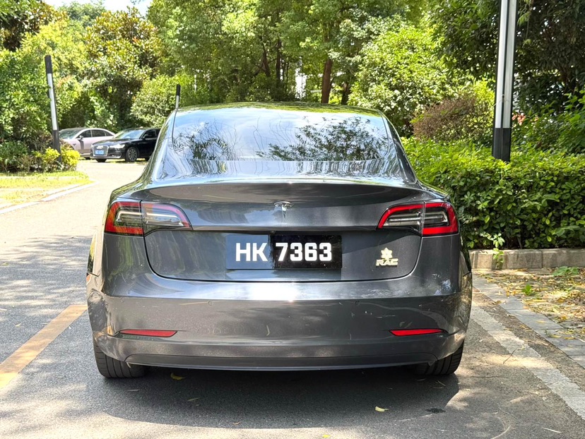 Tesla Model 3 2020 #3 Tesla Model 3 2020 car image #3