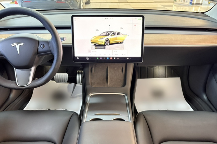 Tesla Model 3 2022 #17 Tesla Model 3 2022 car image #17