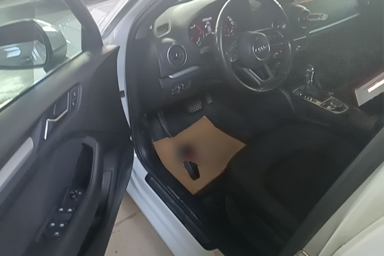 Audi A3 2018 car image #12