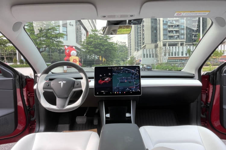 Tesla Model 3 2020 car image #20