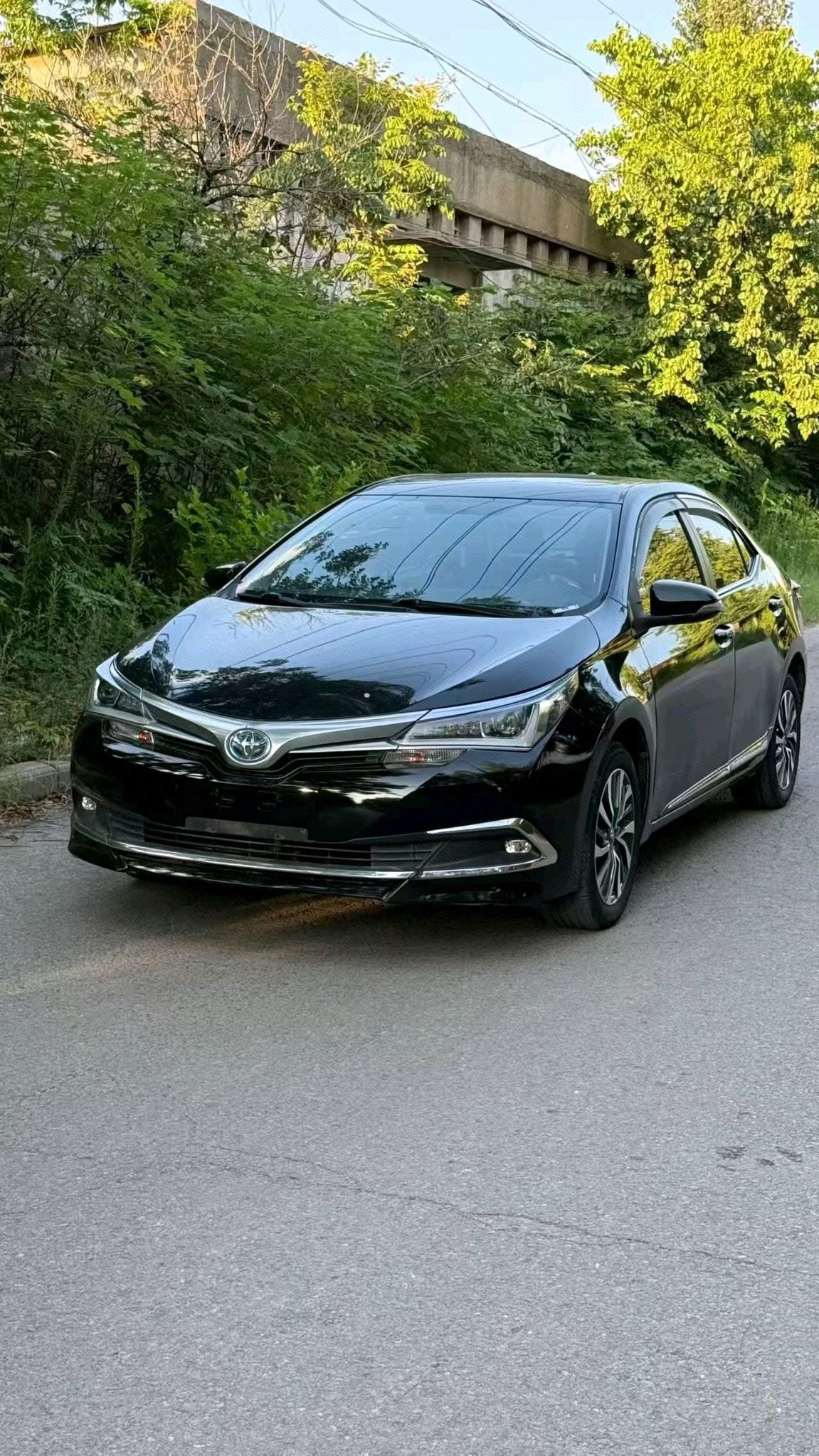 Toyota Corolla 2018 Toyota Corolla 2018 car image