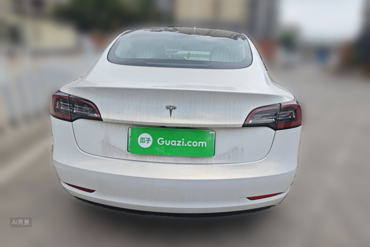 Tesla Model 3 2020 car image #6