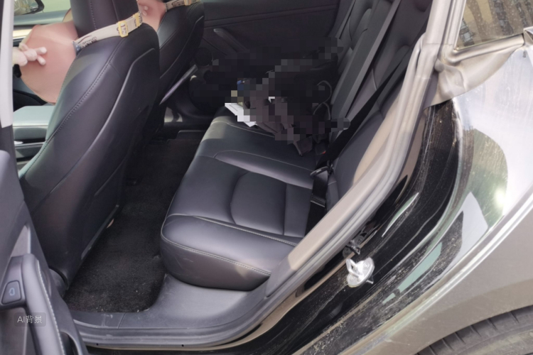 Tesla Model 3 2021 car image #19