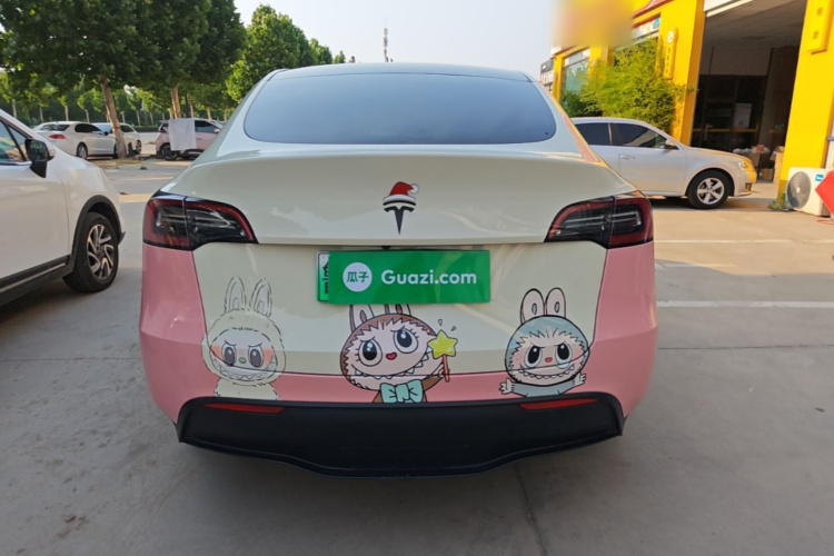 Tesla Model Y 2021 car image #6