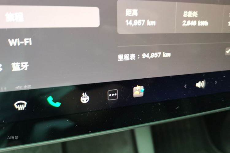 Tesla Model Y 2021 car image #14