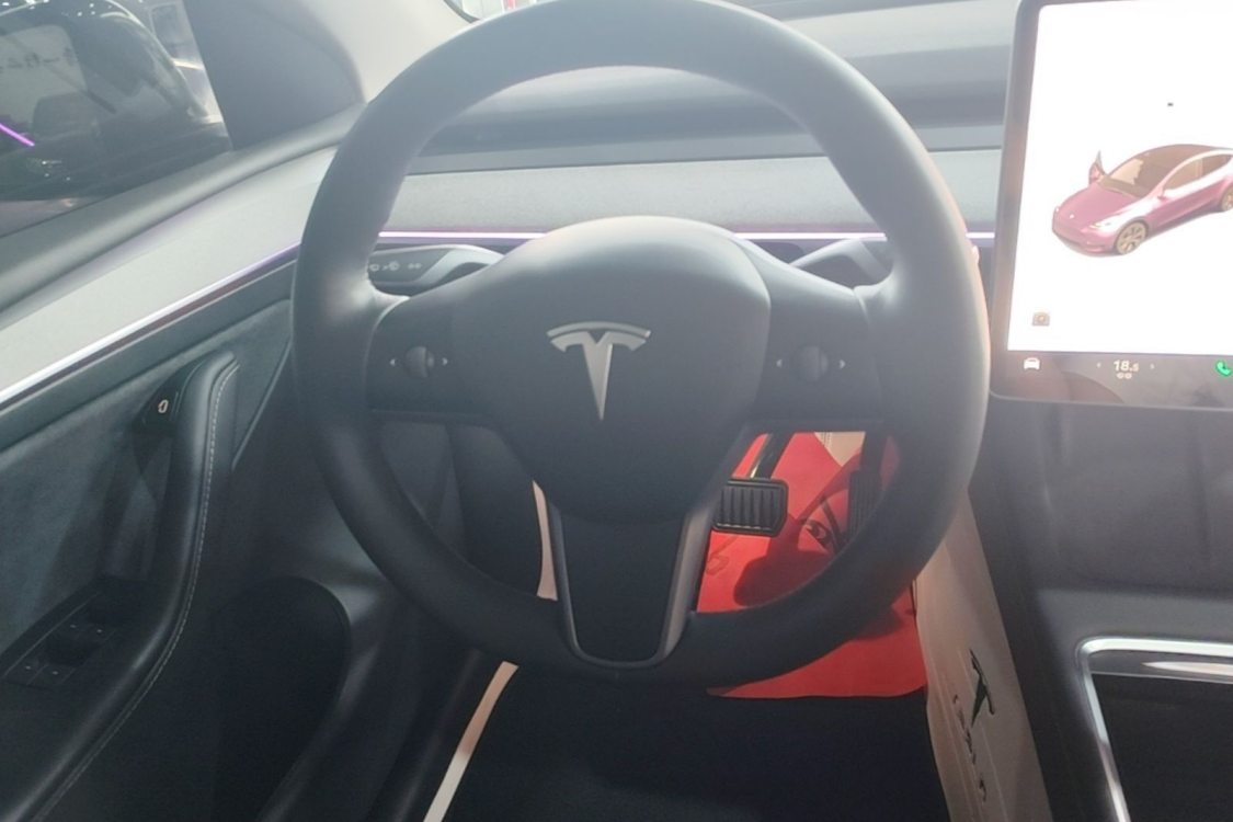 Tesla Model Y 2024 car image #16
