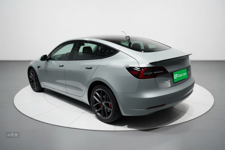 Tesla Model 3 2021 #5 Tesla Model 3 2021 car image #5
