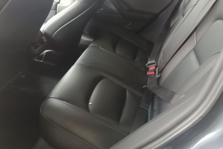 Tesla Model 3 2020 #17 Tesla Model 3 2020 car image #17