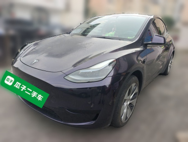 Tesla Model Y 2023 Tesla Model Y 2023 car image
