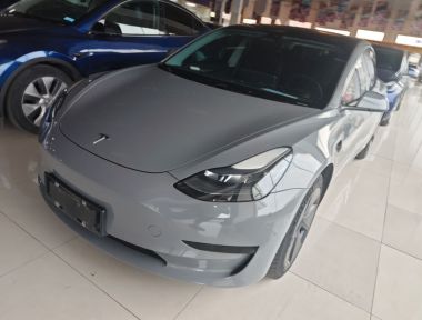 Tesla Model 3 2022 Tesla Model 3 2022 car image