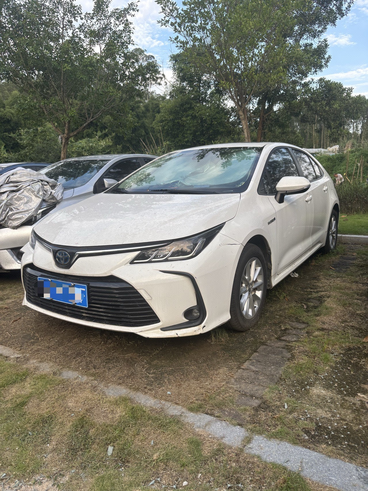 Toyota Corolla 2020 car image 