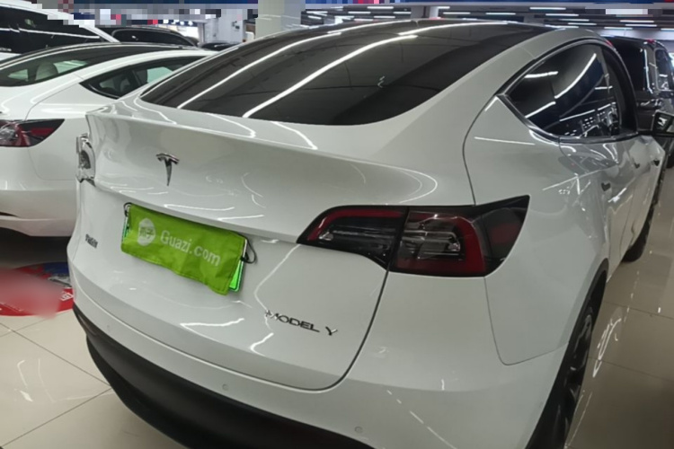 Tesla Model Y 2021 car image #7