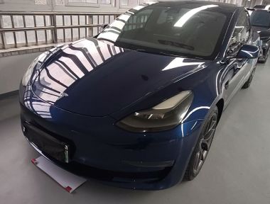 Tesla Model 3 2021 Tesla Model 3 2021 car image