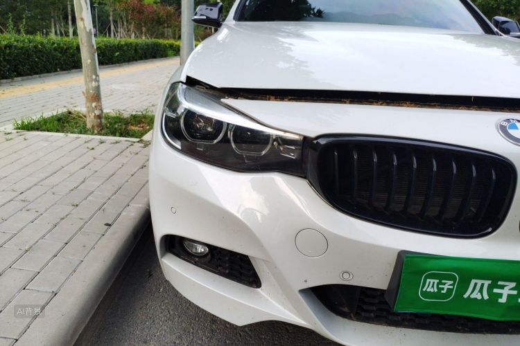 BMW 3 Series GT 2019 car image #8