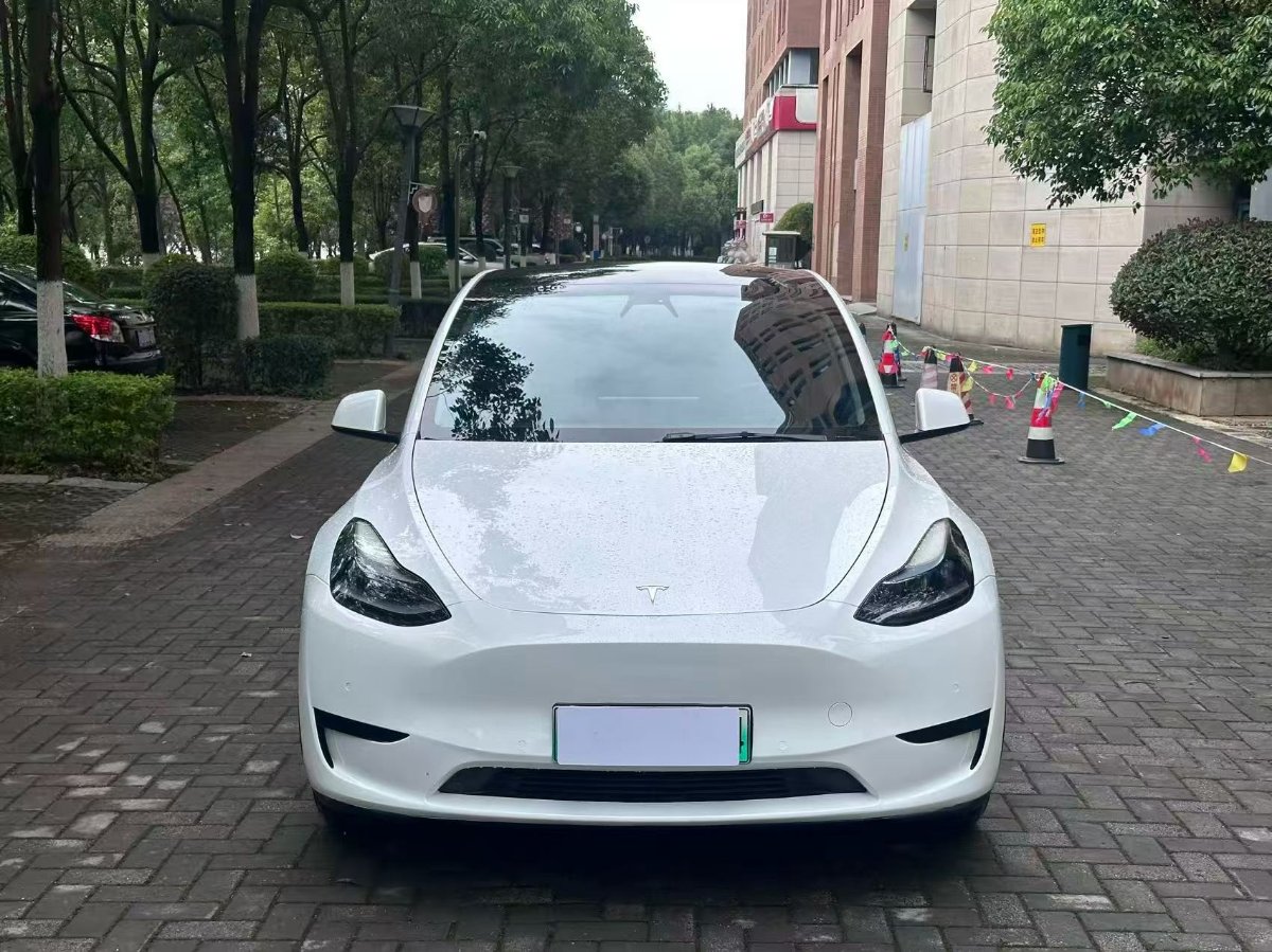 Tesla Model Y 2023 #2 Tesla Model Y 2023 car image #2