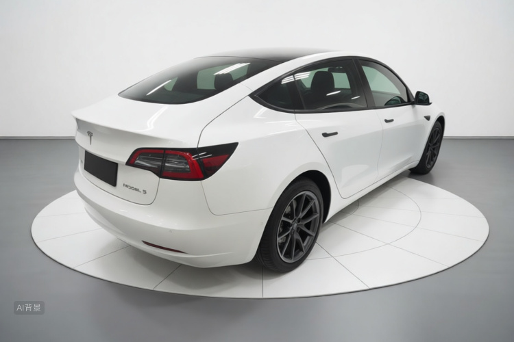 Tesla Model 3 2021 car image #7