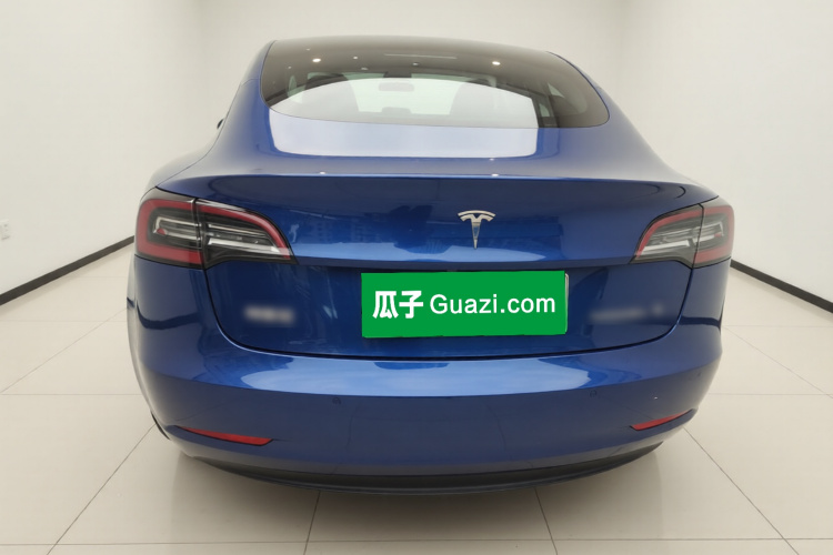 Tesla Model 3 2020 immagine di auto #4