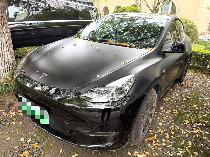 Tesla Model Y 2021 Tesla Model Y 2021 immagine di auto