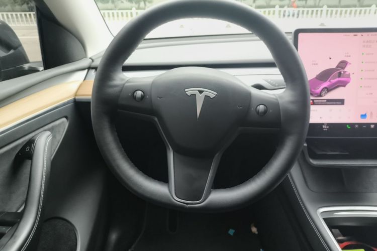 Tesla Model Y 2021 car image #14