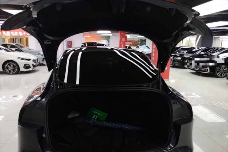 Tesla Model 3 2025 #21 Tesla Model 3 2025 car image #21