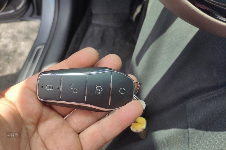 比亚迪 汉 2024 汽车图片 #10