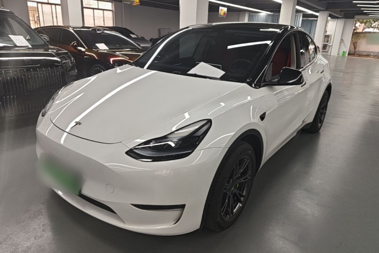 Tesla Model Y 2024 car image #2