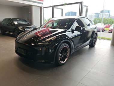 Tesla Model Y 2022 Tesla Model Y 2022 car image