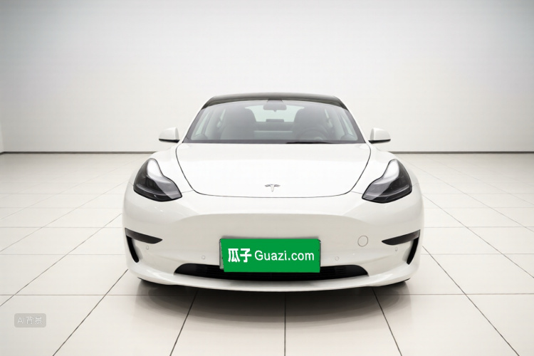 Tesla Model 3 2021 #3 Tesla Model 3 2021 car image #3